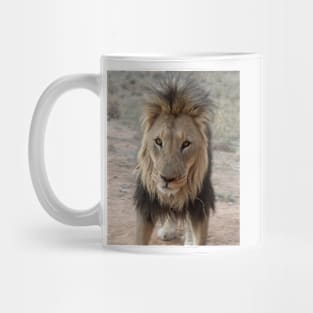 Portrait of a lion Mug